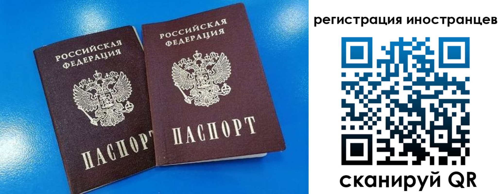 временная регистрация поиск в Всеволожске